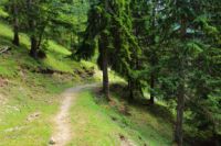 2014-07-18_Kompar (381)b.JPG